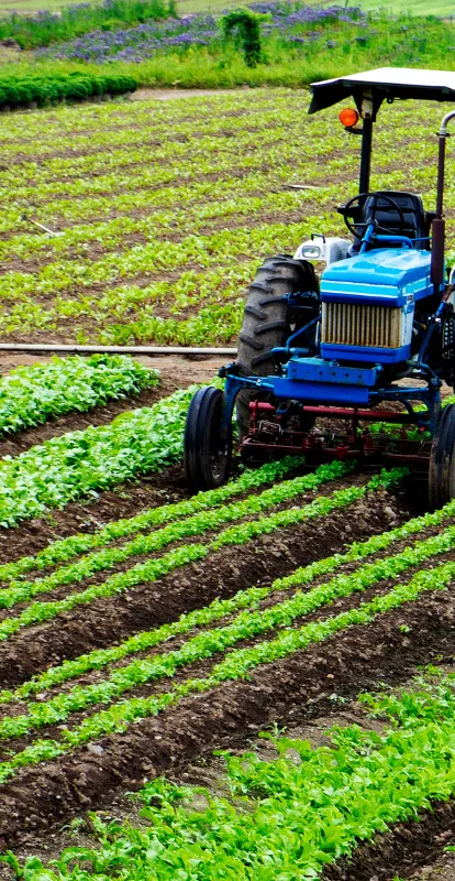Peritaje Agrícola