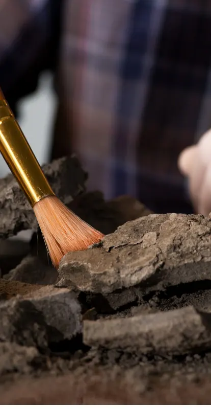 Peritaje en Arqueología y Antropología