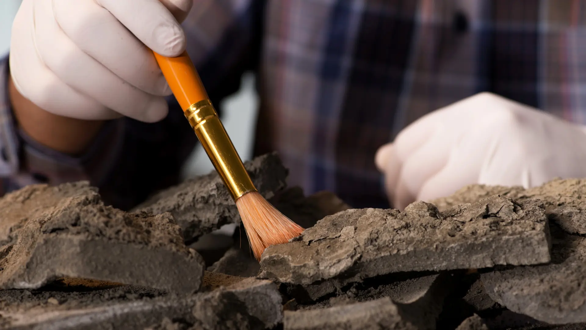 Peritaje en Arqueología y Antropología