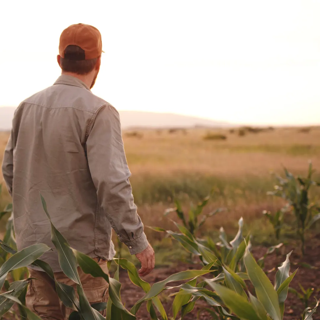 Tasación Agrícola y Rural